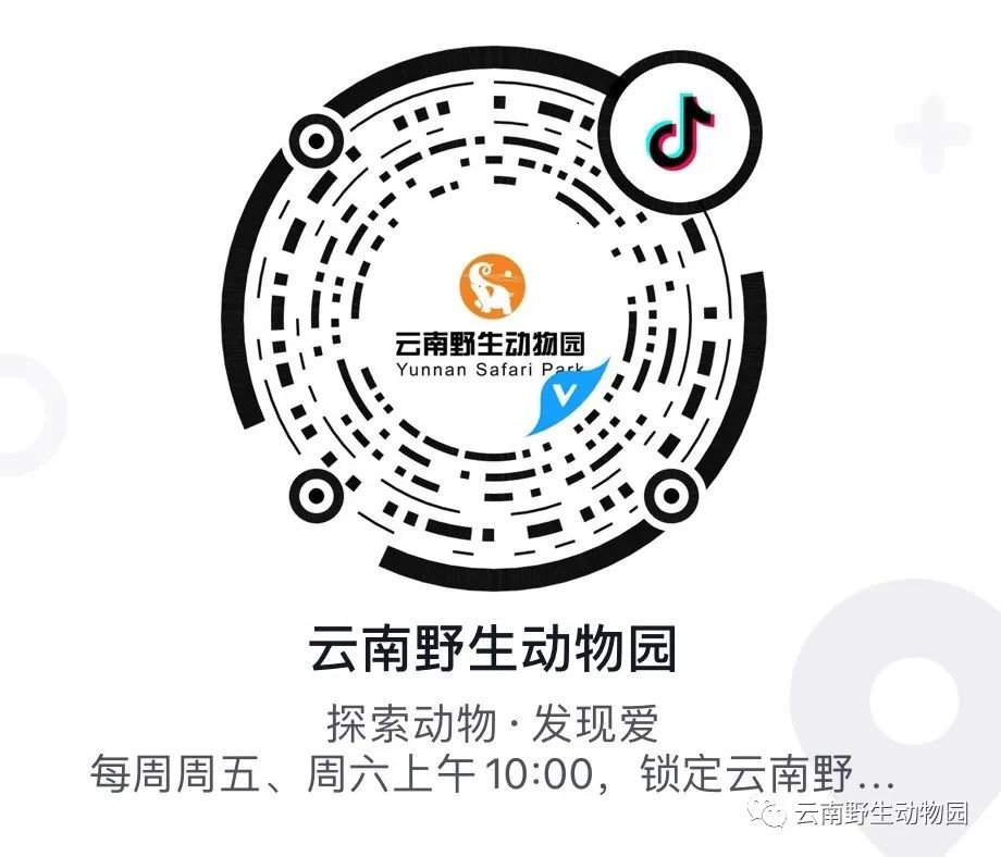 云南野生动物园(微信)