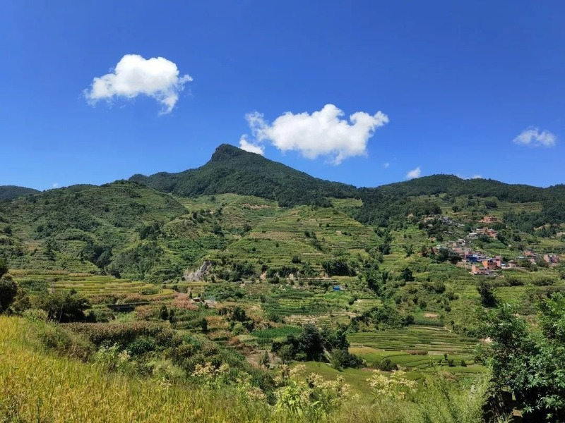 云南省文化和旅游厅