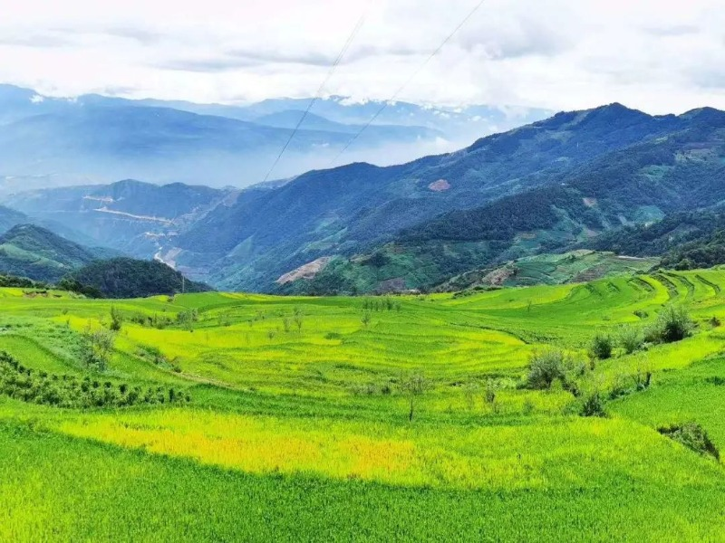 云南省文化和旅游厅