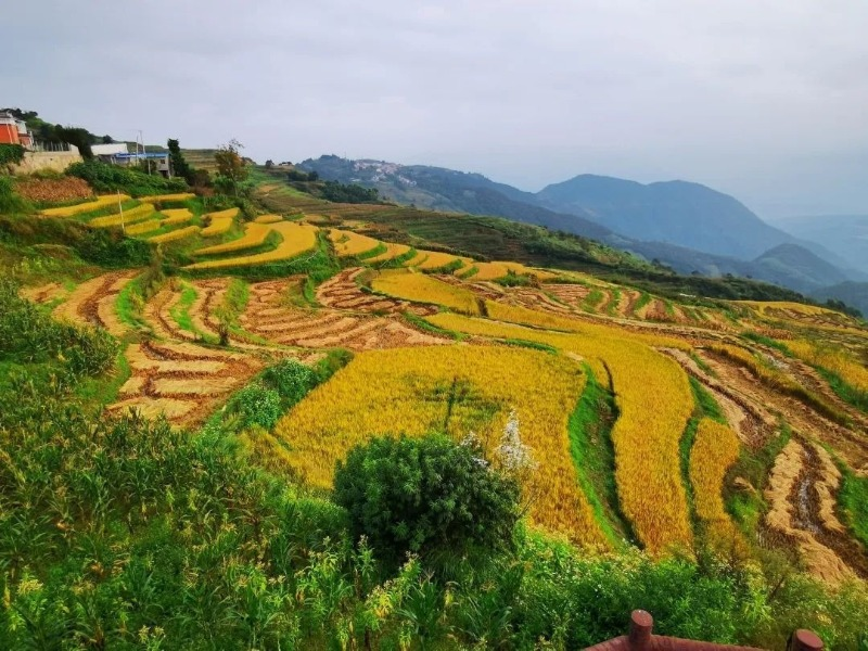 云南省文化和旅游厅