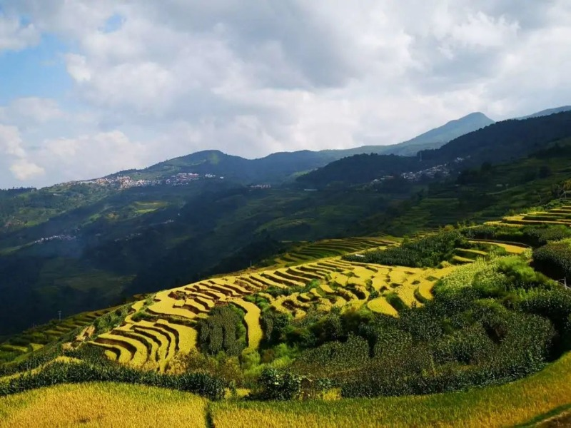 云南省文化和旅游厅