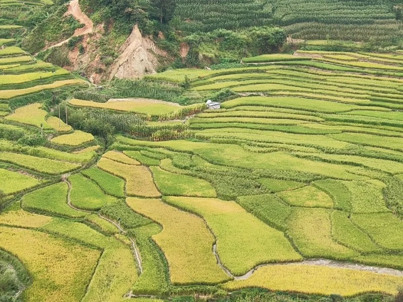 云南省文化和旅游厅