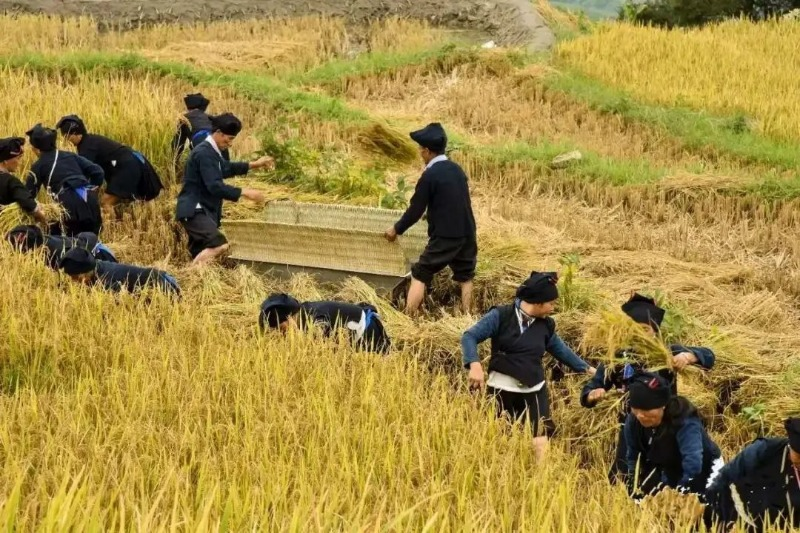 云南省文化和旅游厅