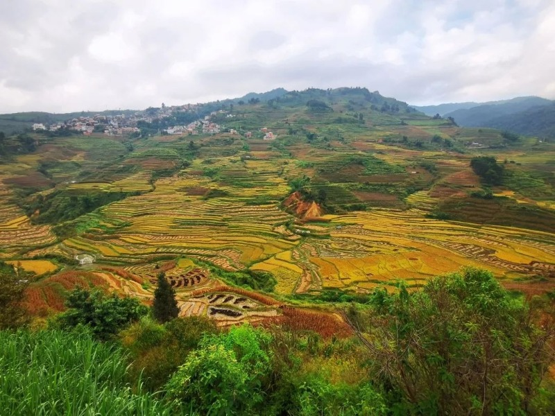 云南省文化和旅游厅