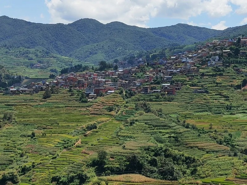 云南省文化和旅游厅