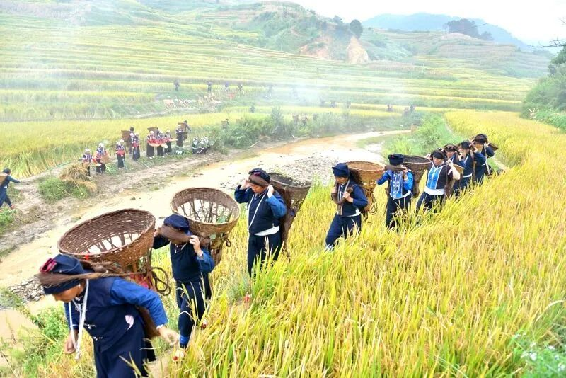 云南省文化和旅游厅
