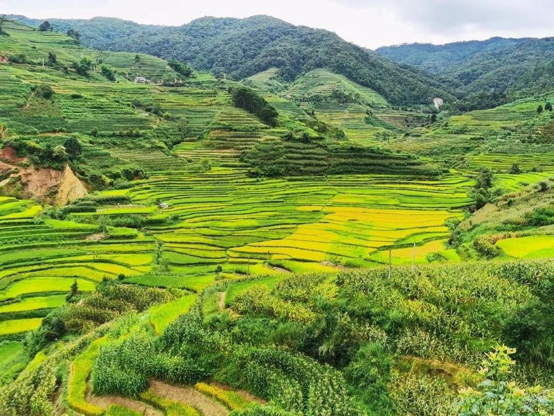 云南省文化和旅游厅