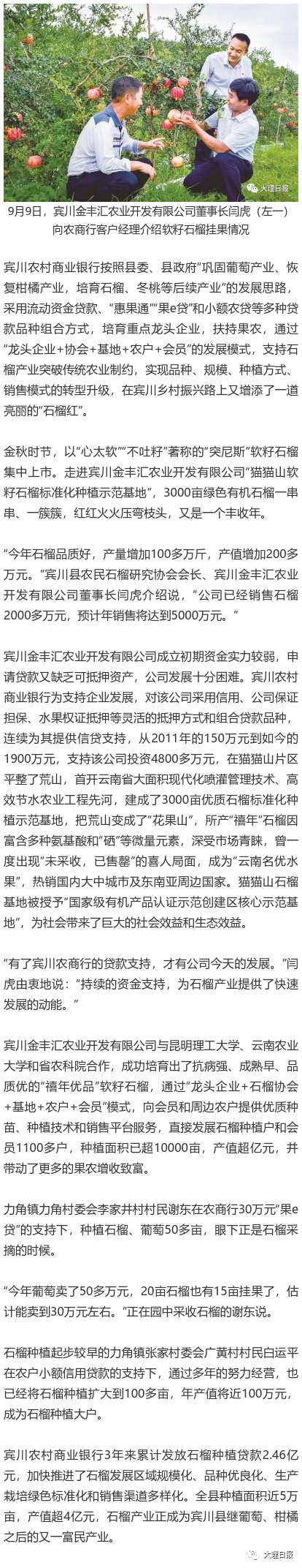 大理日报(微信)