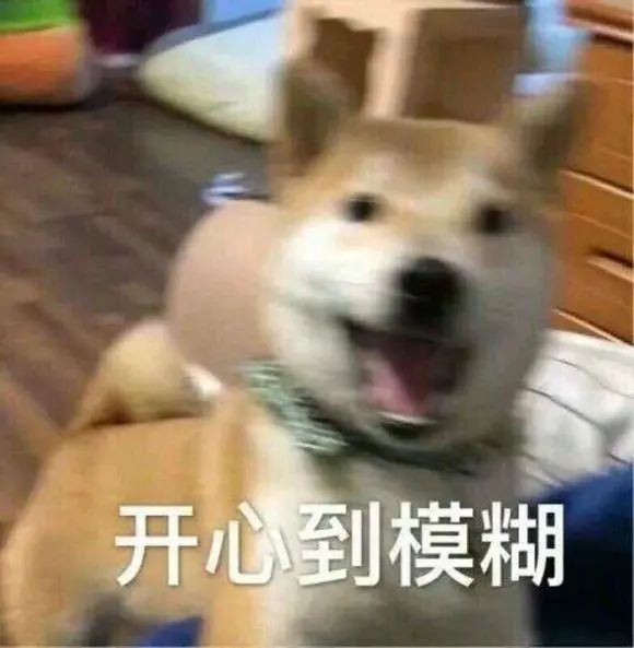 昭通日报(微信)