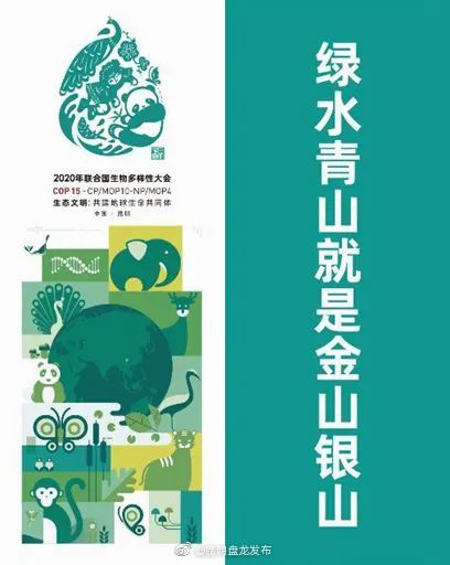 “昆明盘龙发布”微博