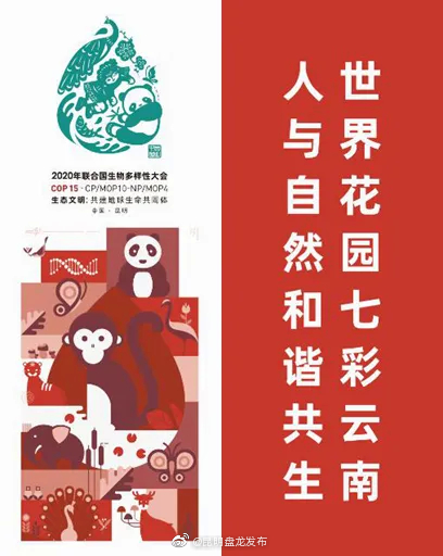 “昆明盘龙发布”微博