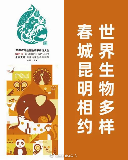 “昆明盘龙发布”微博