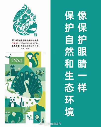 “昆明盘龙发布”微博