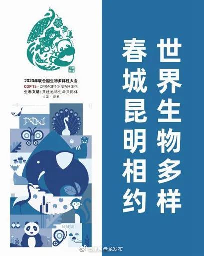 “昆明盘龙发布”微博
