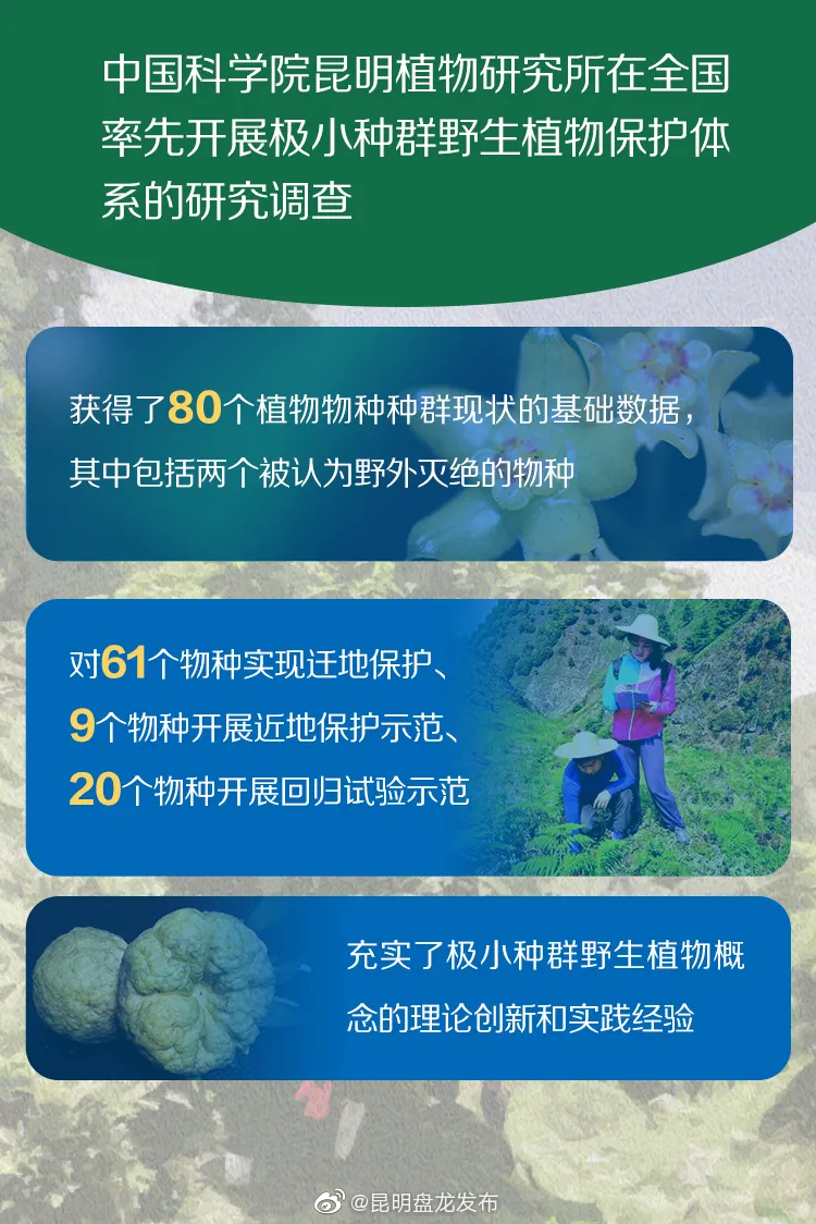 “昆明盘龙发布”微博