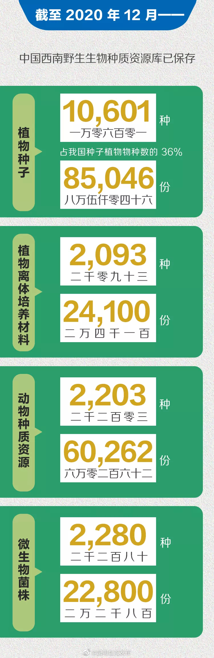 “昆明盘龙发布”微博