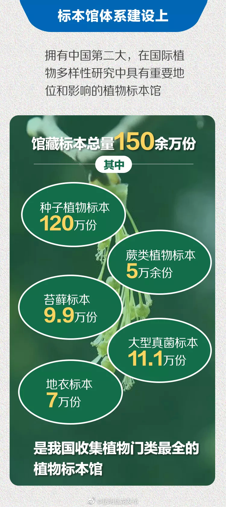“昆明盘龙发布”微博