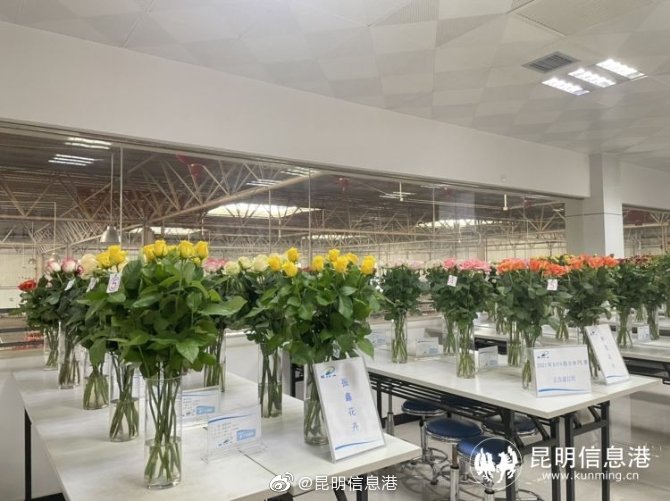 昆明信息港微博