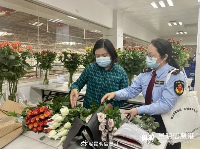 昆明信息港微博