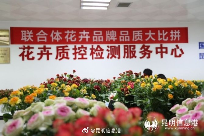 昆明信息港微博