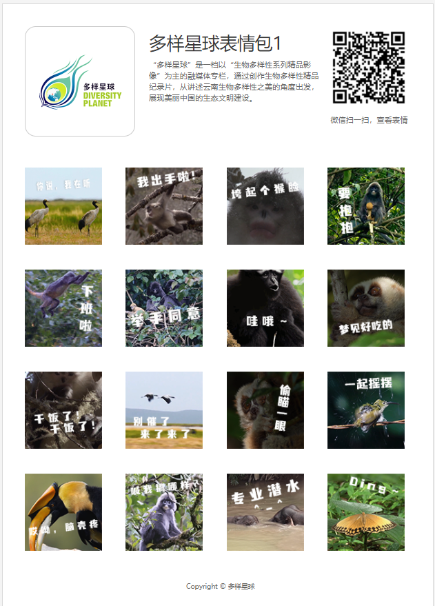 云南广播电视台(微信)
