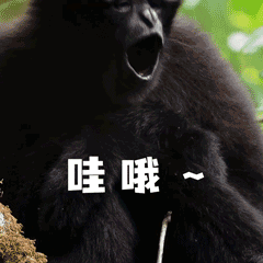云南广播电视台(微信)