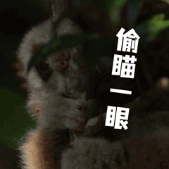 云南广播电视台(微信)