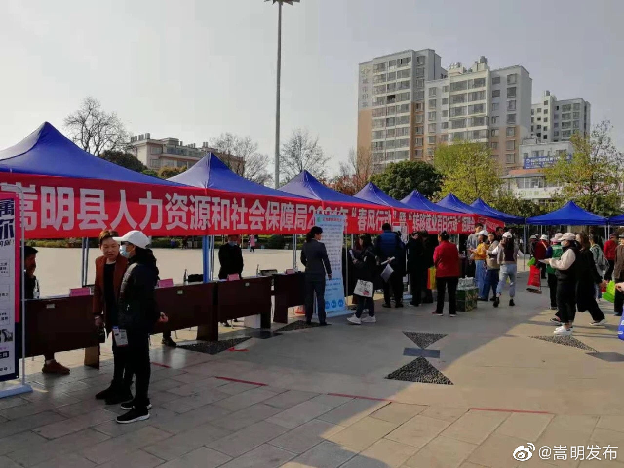 用好政策“金点子”，开辟乡村振兴“新路径”