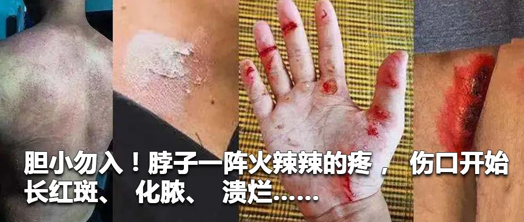 云南政法(微信)