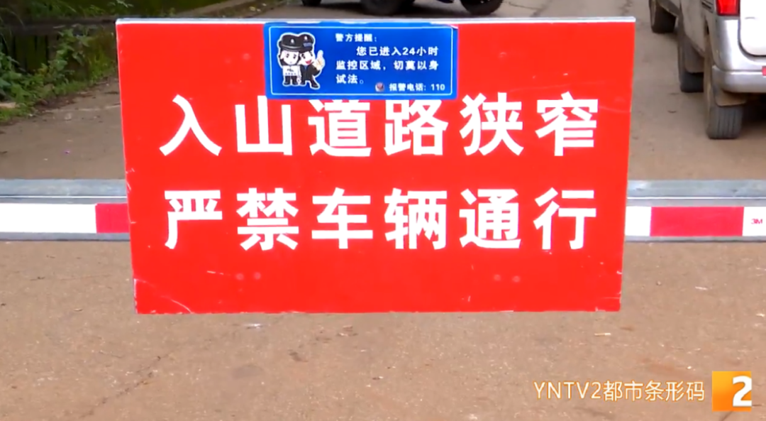 春城晚报(微信)