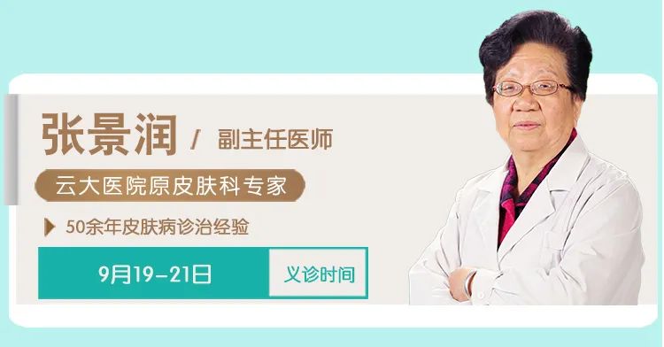 春城晚报(微信)