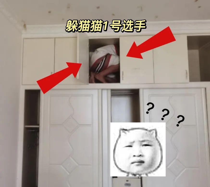 春城晚报(微信)