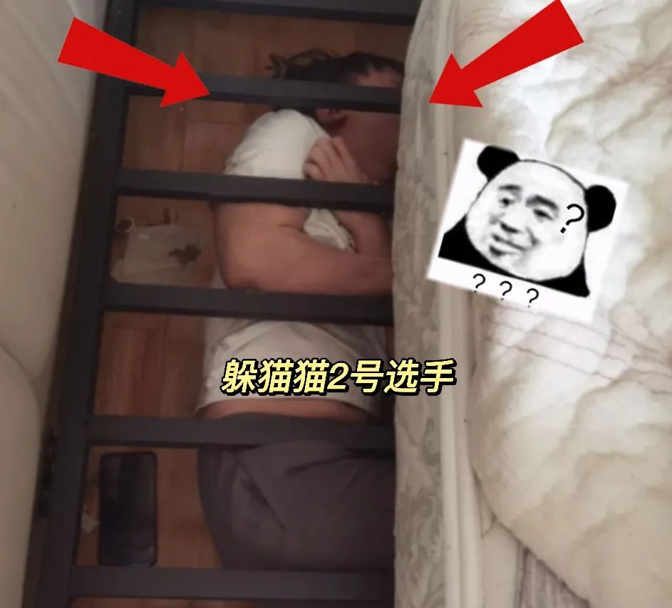 春城晚报(微信)