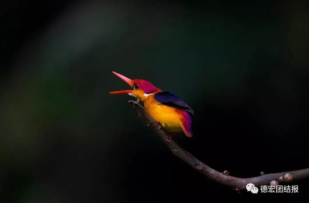 云南广播电视台(微信)