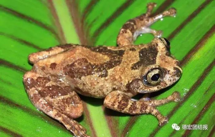 云南广播电视台(微信)