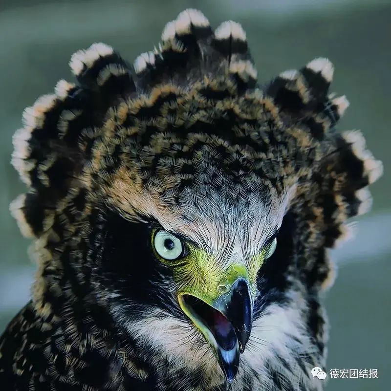 云南广播电视台(微信)