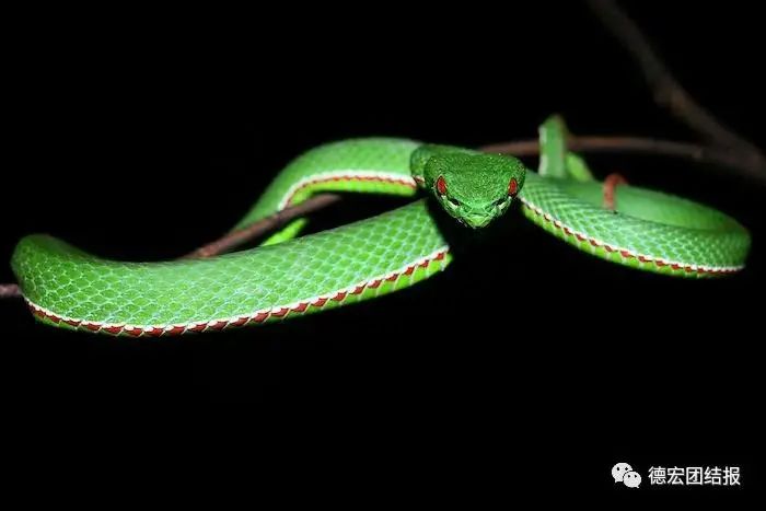 云南广播电视台(微信)