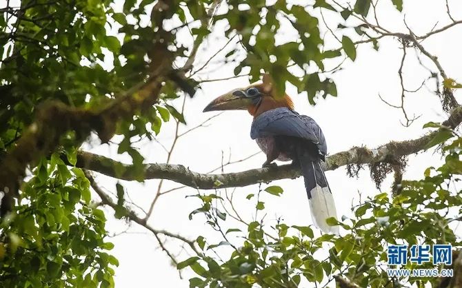 云南广播电视台(微信)