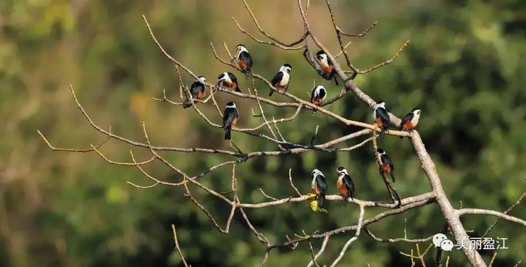 云南广播电视台(微信)