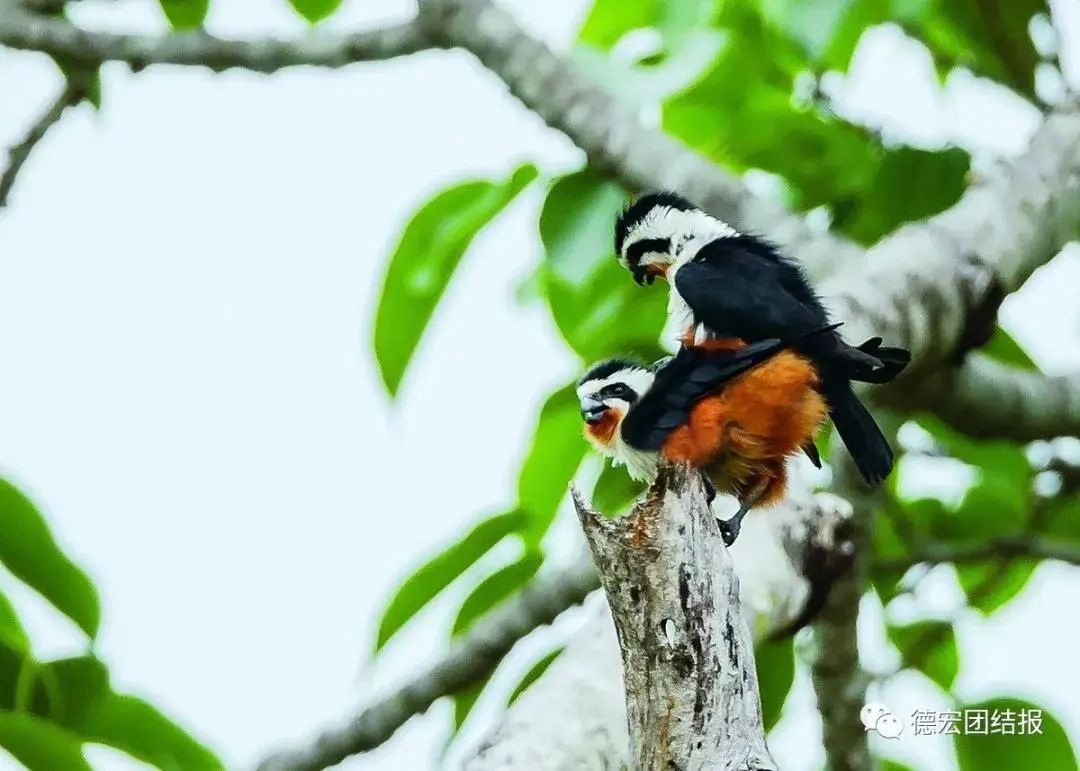 云南广播电视台(微信)