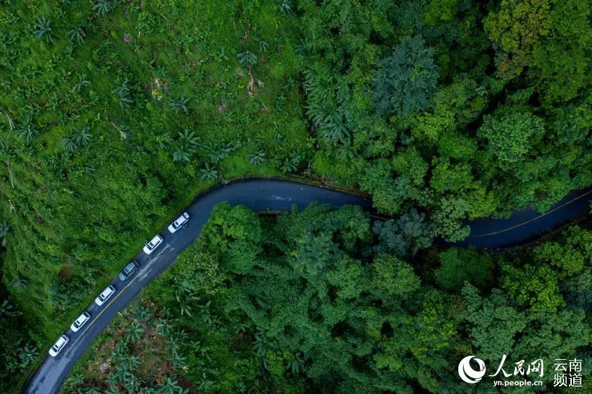 云南广播电视台(微信)