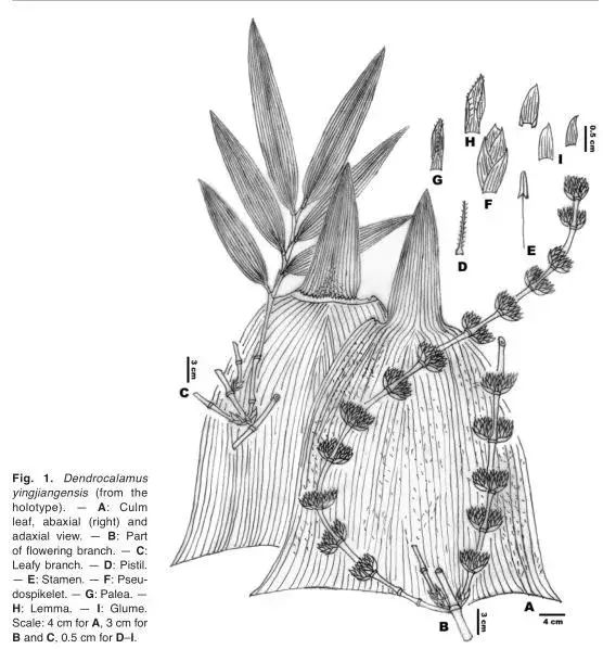 云南广播电视台(微信)