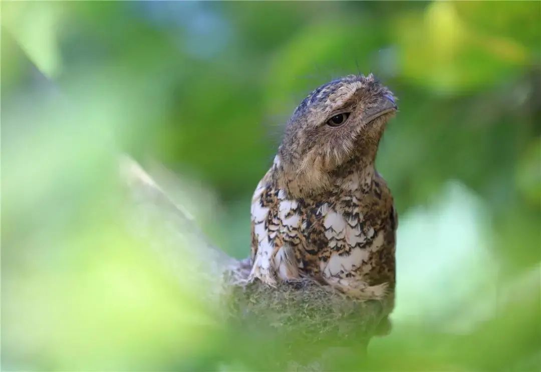 云南广播电视台(微信)