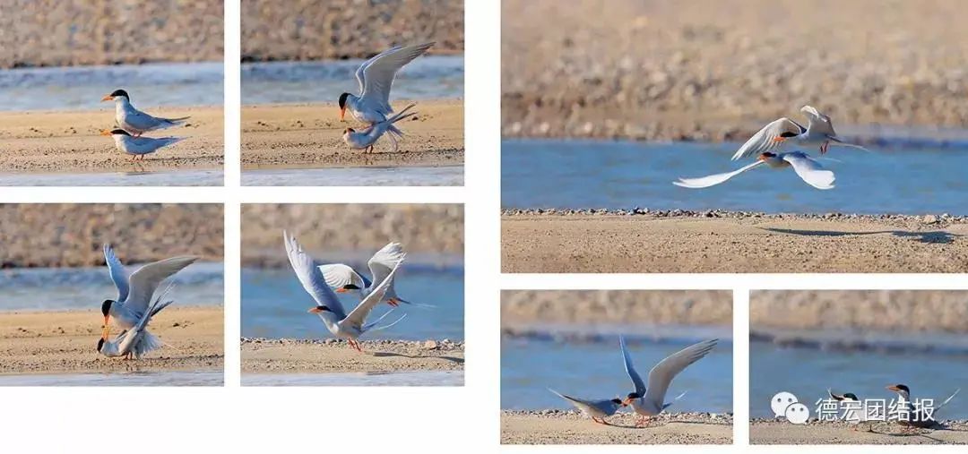 云南广播电视台(微信)