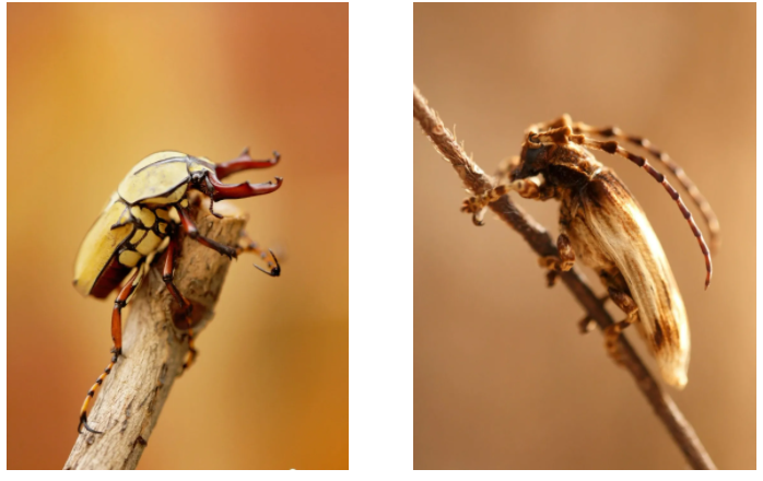 云南广播电视台(微信)