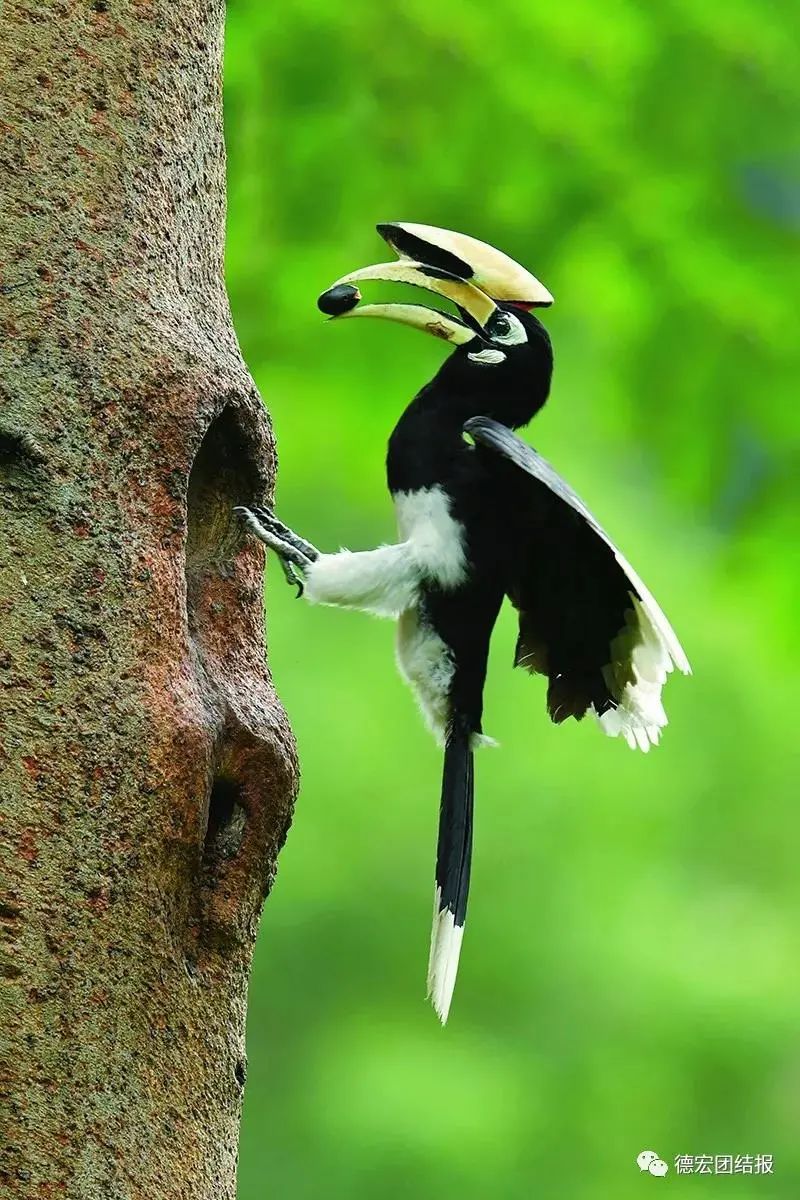 云南广播电视台(微信)