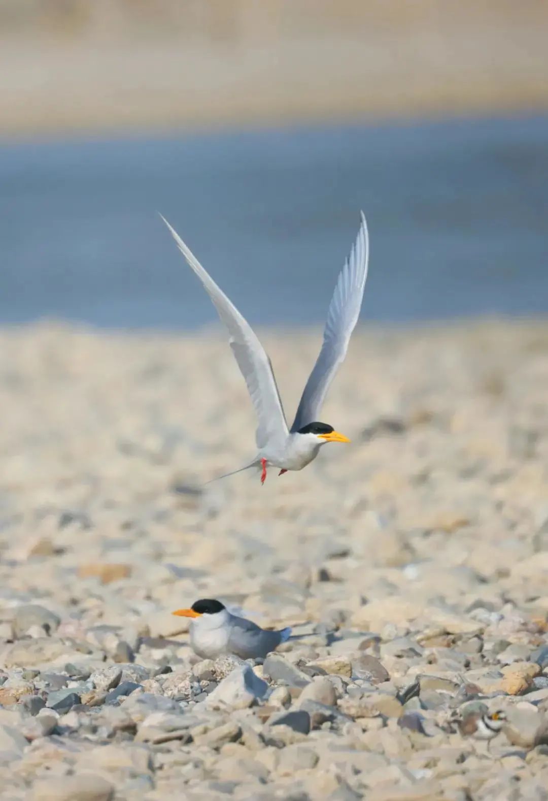 云南广播电视台(微信)