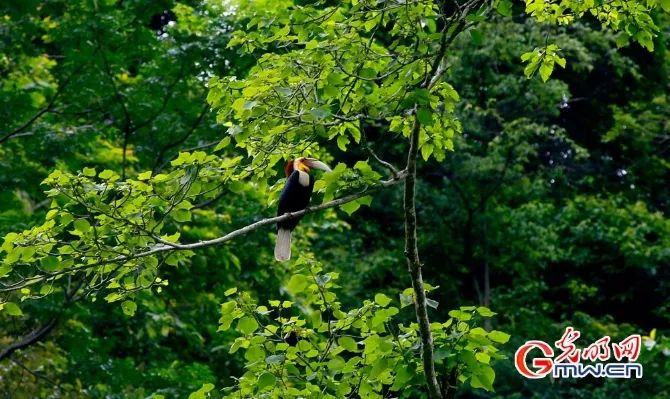 云南广播电视台(微信)