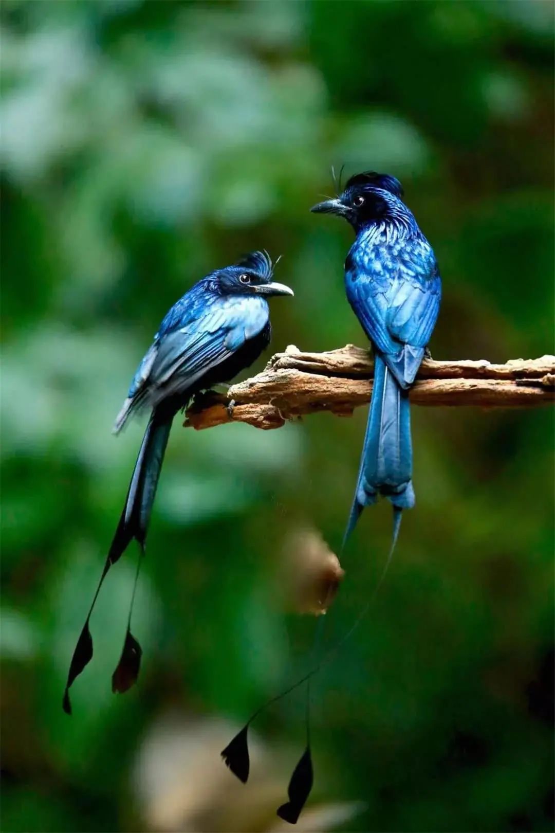 云南广播电视台(微信)