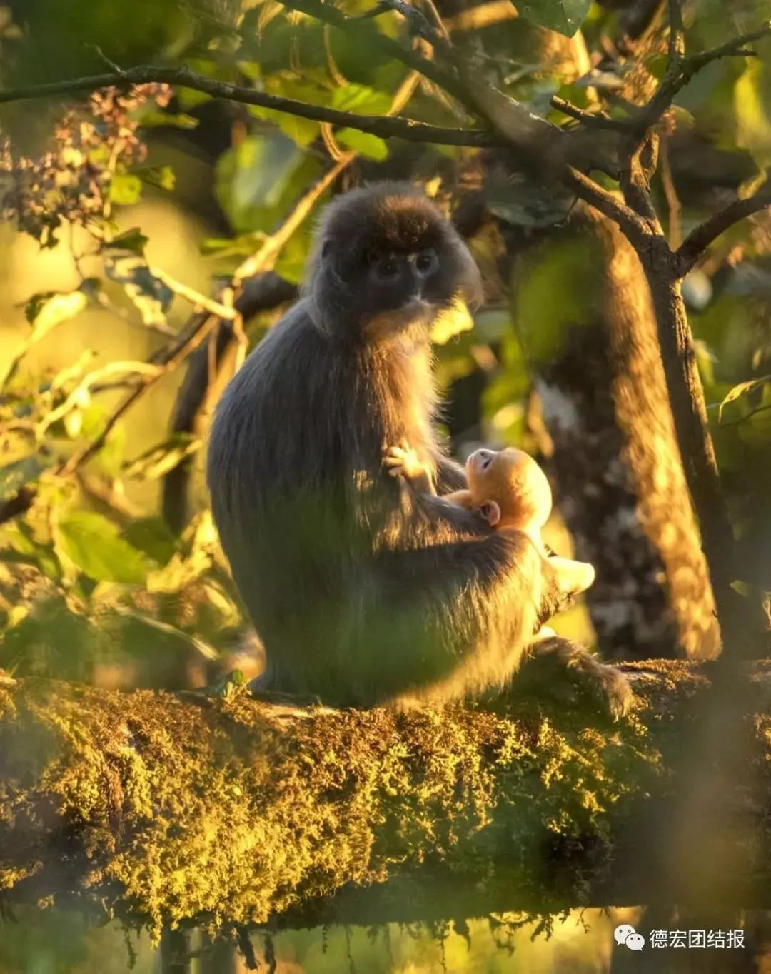 云南广播电视台(微信)